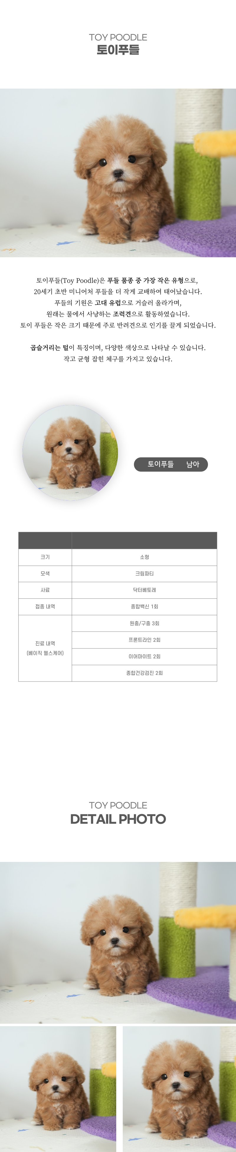 토이푸들_상세이미지_2